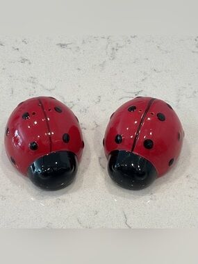 Am I Ceramic Ladybug Salt & Pepper Shakers - Red & Black